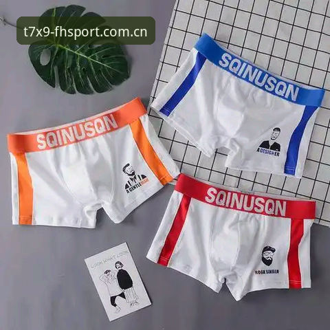 揭秘fh凤凰体育app下载背后的真相：一份专业用户的完整教程
